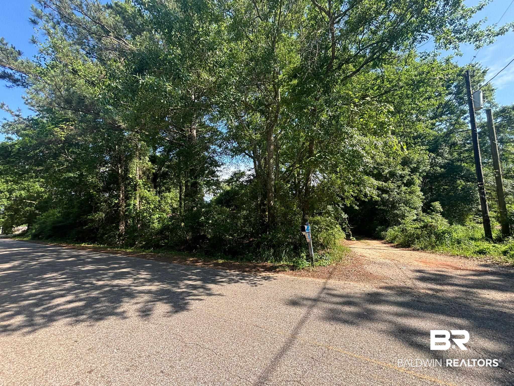 6827 Rester Road Theodore, AL 36582 - Photo 4 of 5 View of asphalt road
