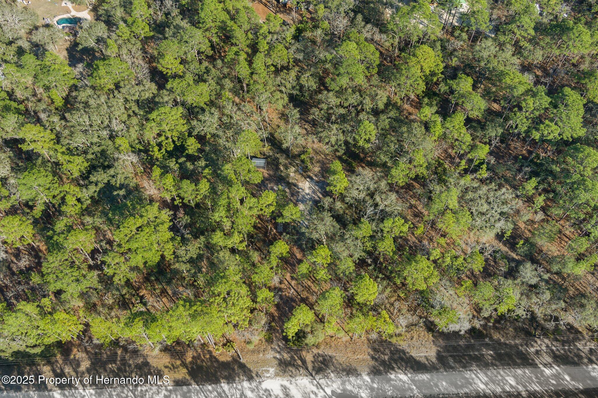 16046 Magpie Road Brooksville, FL 34614 - Photo 7 of 17