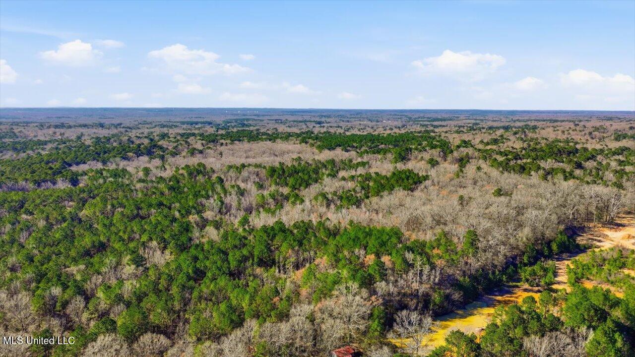 Cleary Road Florence, MS 39073 - Photo 12 of 20 09-Cleary Rd _ Home Tours MS