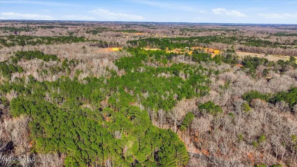 $101,250 | Cleary Road, Florence, MS 39073