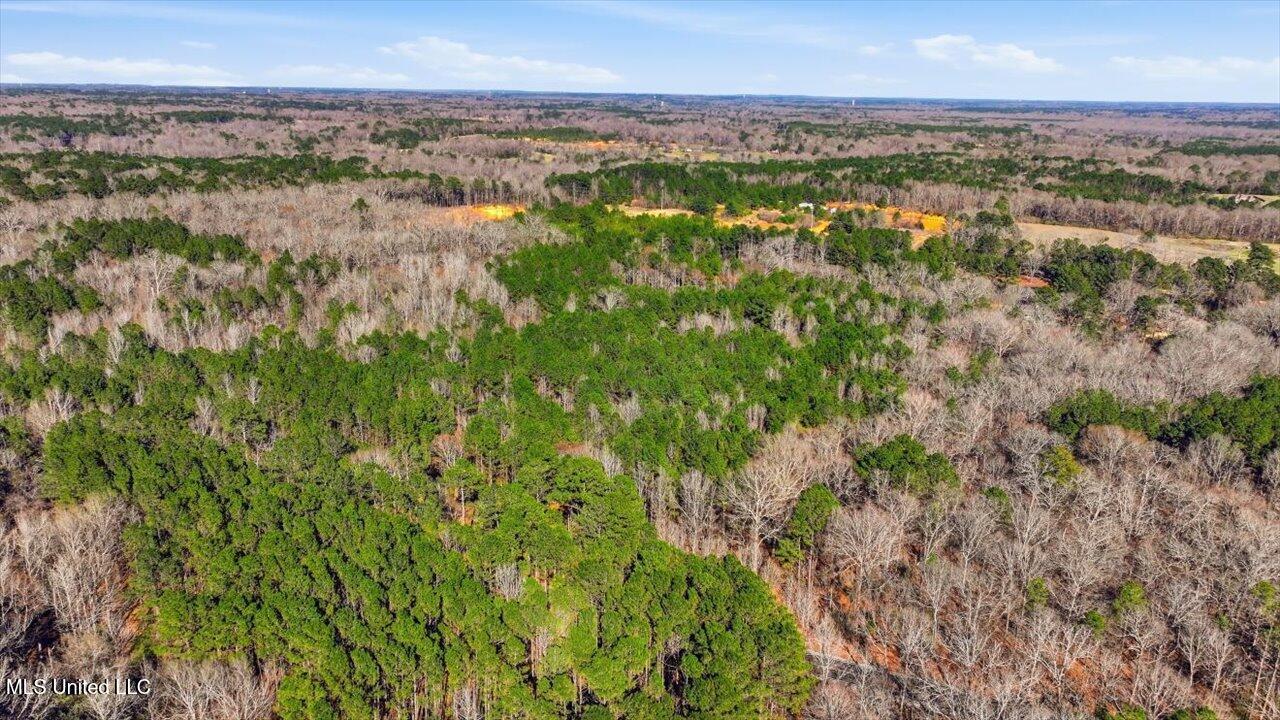 Cleary Road Florence, MS 39073 - Photo 13 of 20 10-Cleary Rd _ Home Tours MS