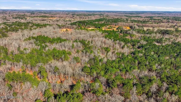 $101,250 | Cleary Road, Florence, MS 39073