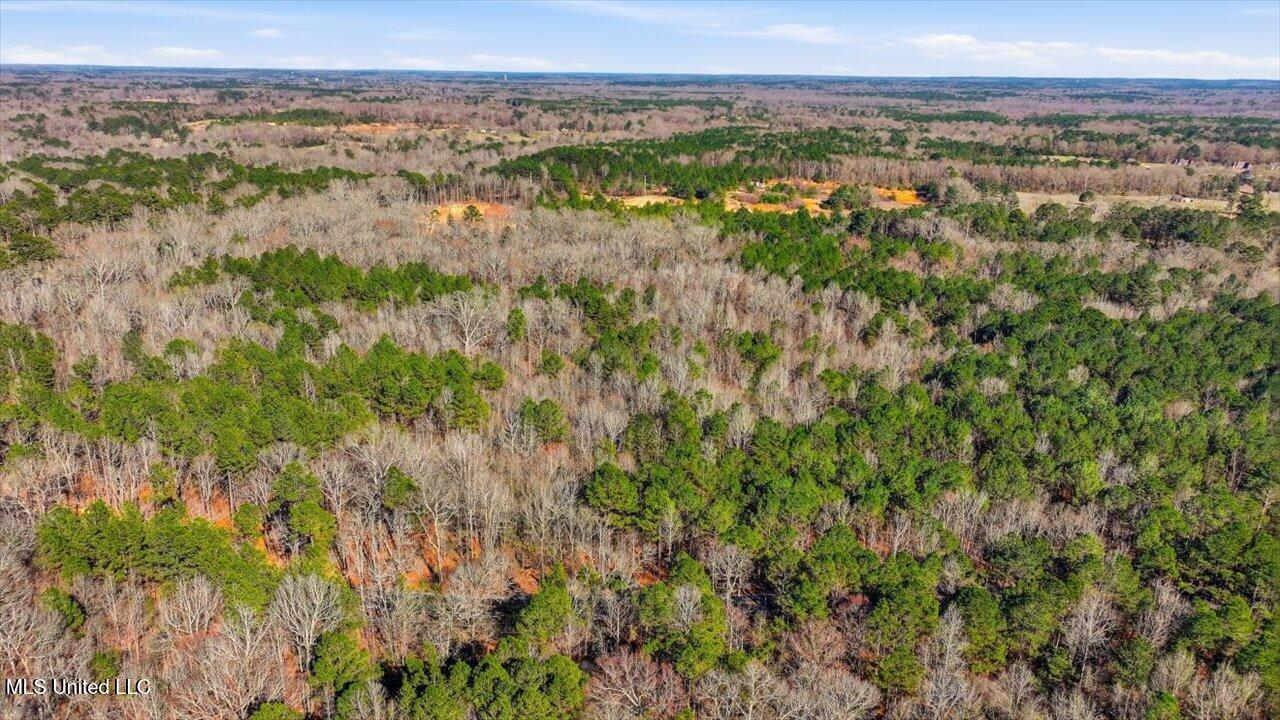 Cleary Road Florence, MS 39073 - Photo 14 of 20 11-Cleary Rd _ Home Tours MS