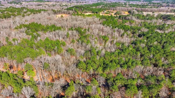 $101,250 | Cleary Road, Florence, MS 39073