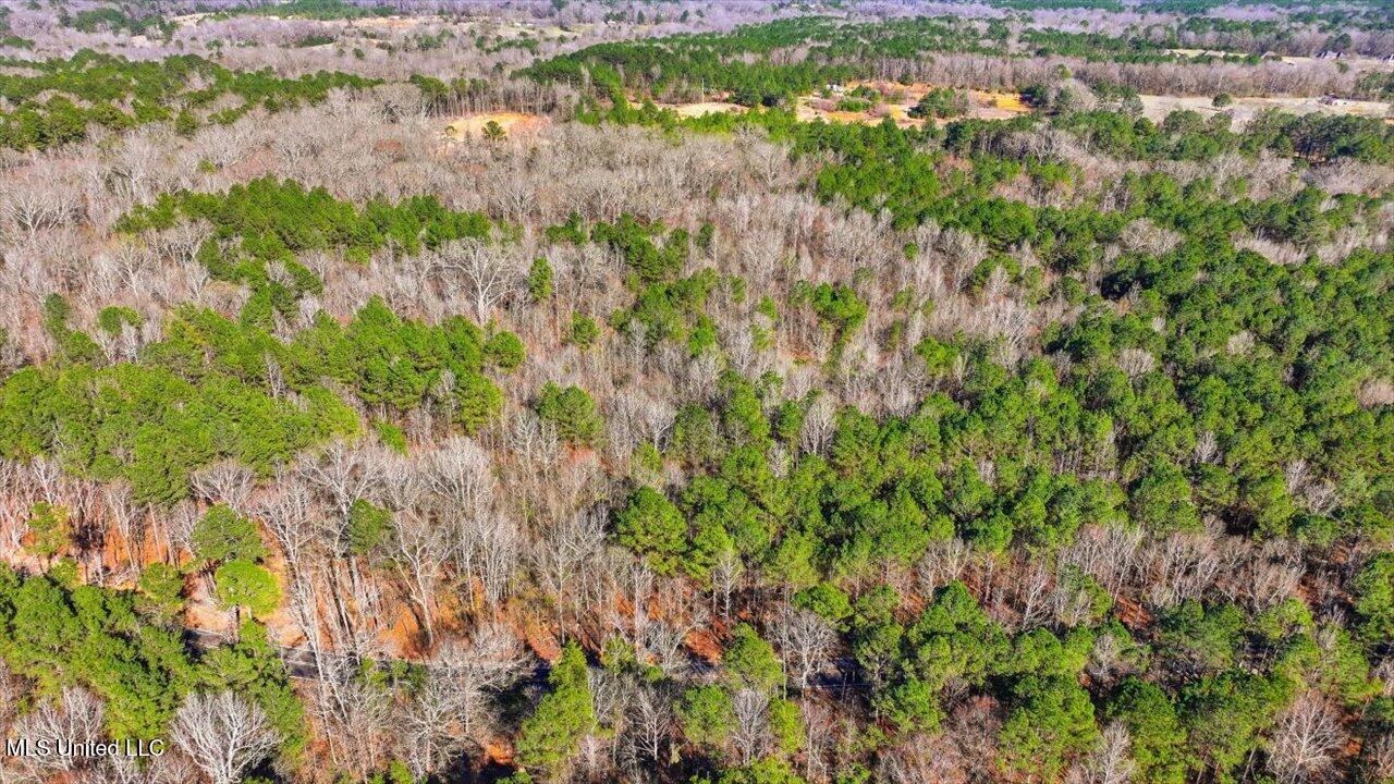 Cleary Road Florence, MS 39073 - Photo 15 of 20 12-Cleary Rd _ Home Tours MS