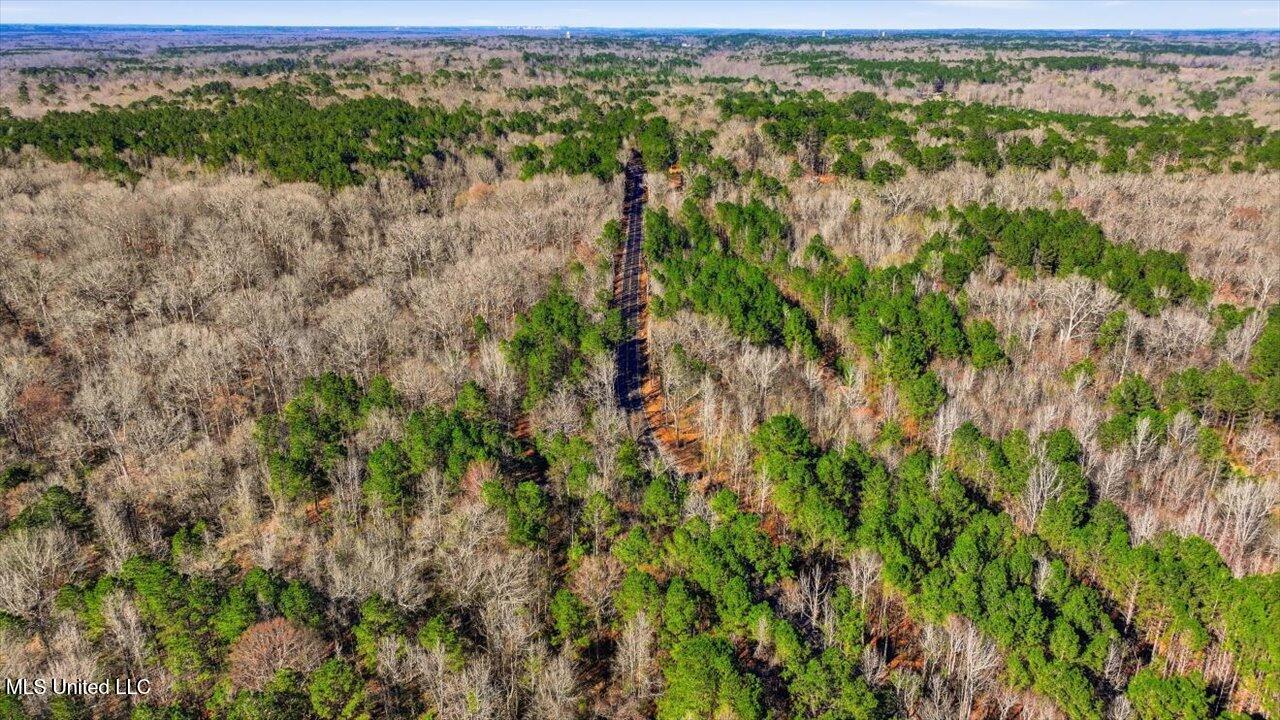 Cleary Road Florence, MS 39073 - Photo 19 of 20 16-Cleary Rd _ Home Tours MS