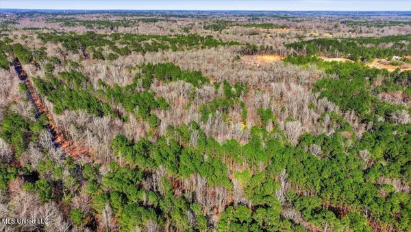 $101,250 | Cleary Road, Florence, MS 39073