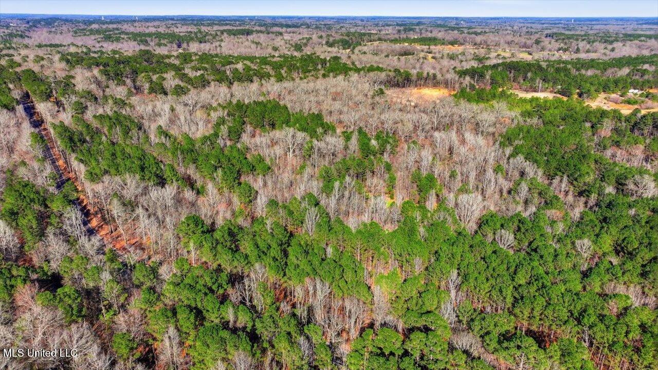 Cleary Road Florence, MS 39073 - Photo 20 of 20 17-Cleary Rd _ Home Tours MS