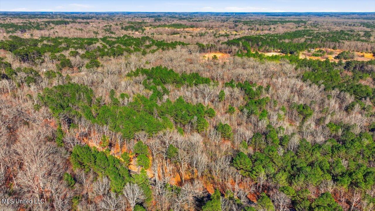 Cleary Road Florence, MS 39073 - Photo 4 of 20 01-Cleary Rd _ Home Tours MS