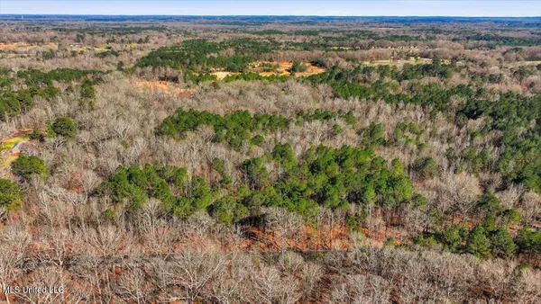 $101,250 | Cleary Road, Florence, MS 39073