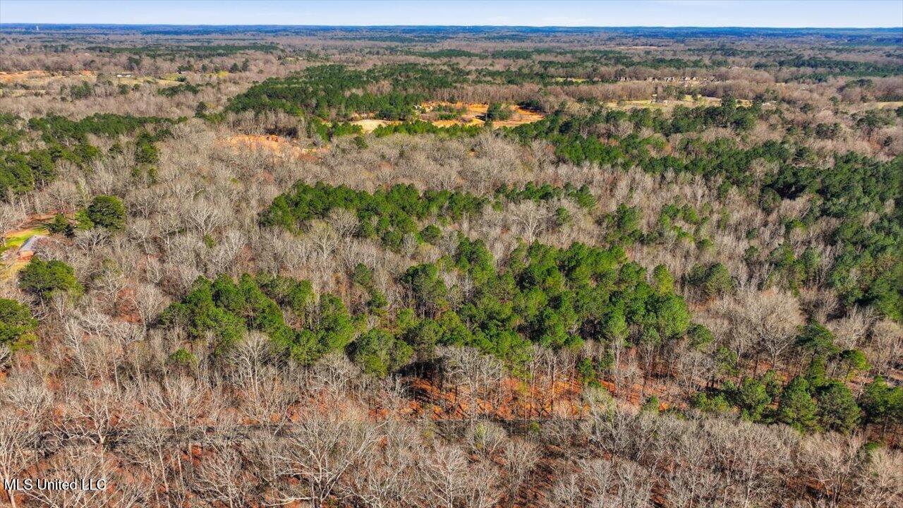 Cleary Road Florence, MS 39073 - Photo 6 of 20 03-Cleary Rd _ Home Tours MS