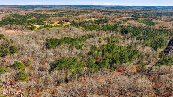 $101,250 | Cleary Road, Florence, MS 39073