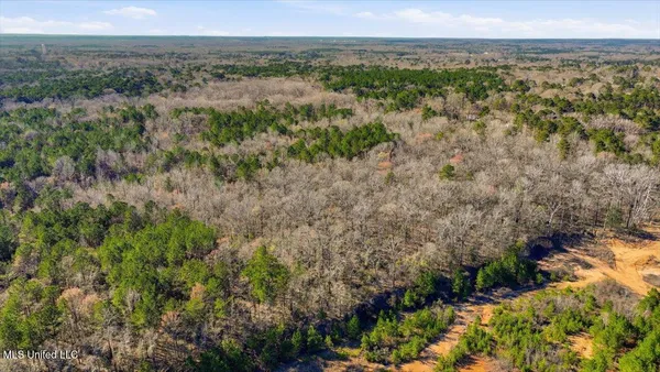 $101,250 | Cleary Road, Florence, MS 39073