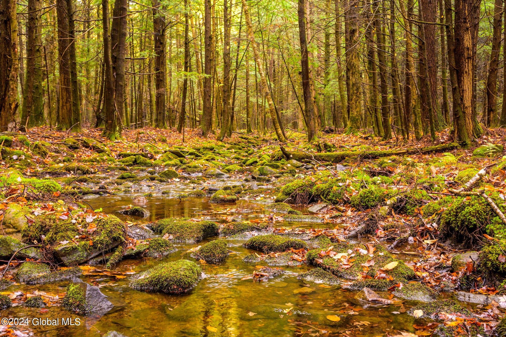 1013-1017 Plank Road Poestenkill, NY 12018 - Photo 26 of 49 26. the creek about a third of the way