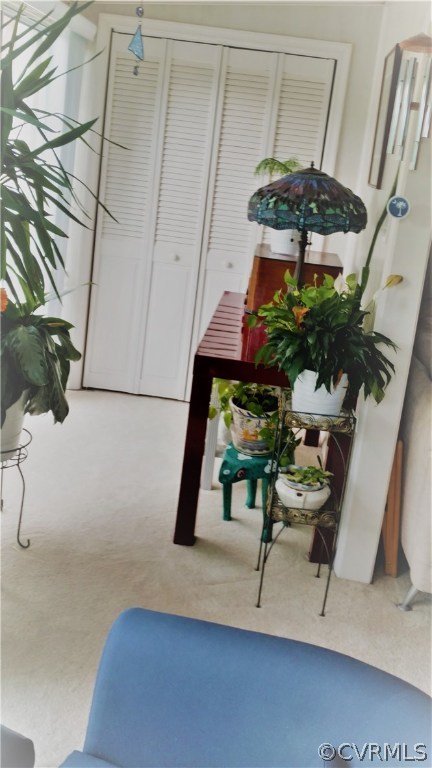 47 Waterfall Road, Unit 47 Henrico, VA 23228 - Photo 19 of 33 Gallery Image 19