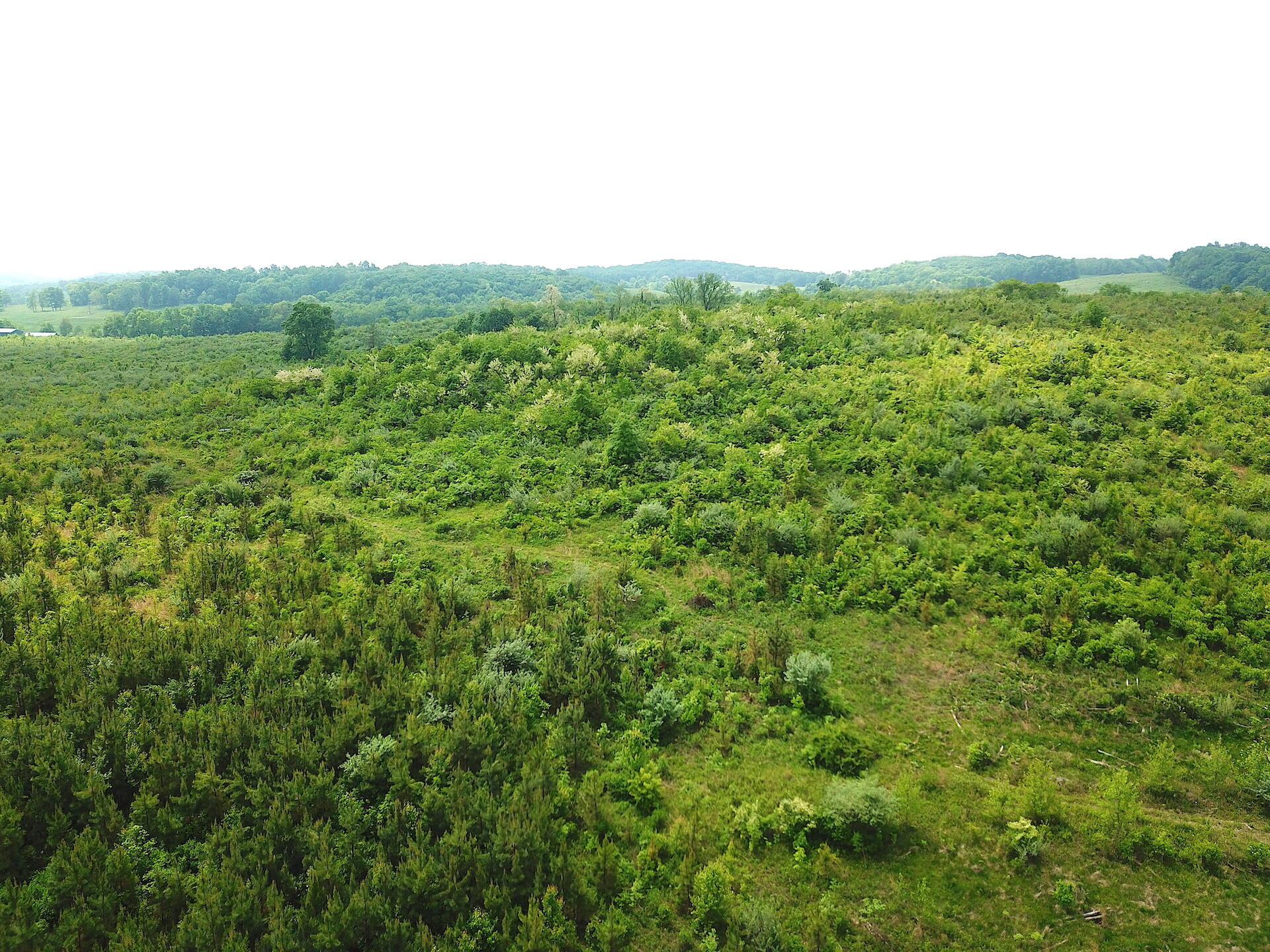 0 Beatty Road Waverly, OH 45690 - Photo 23 of 28 DJI_0996