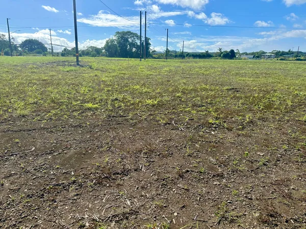 a view of a green field