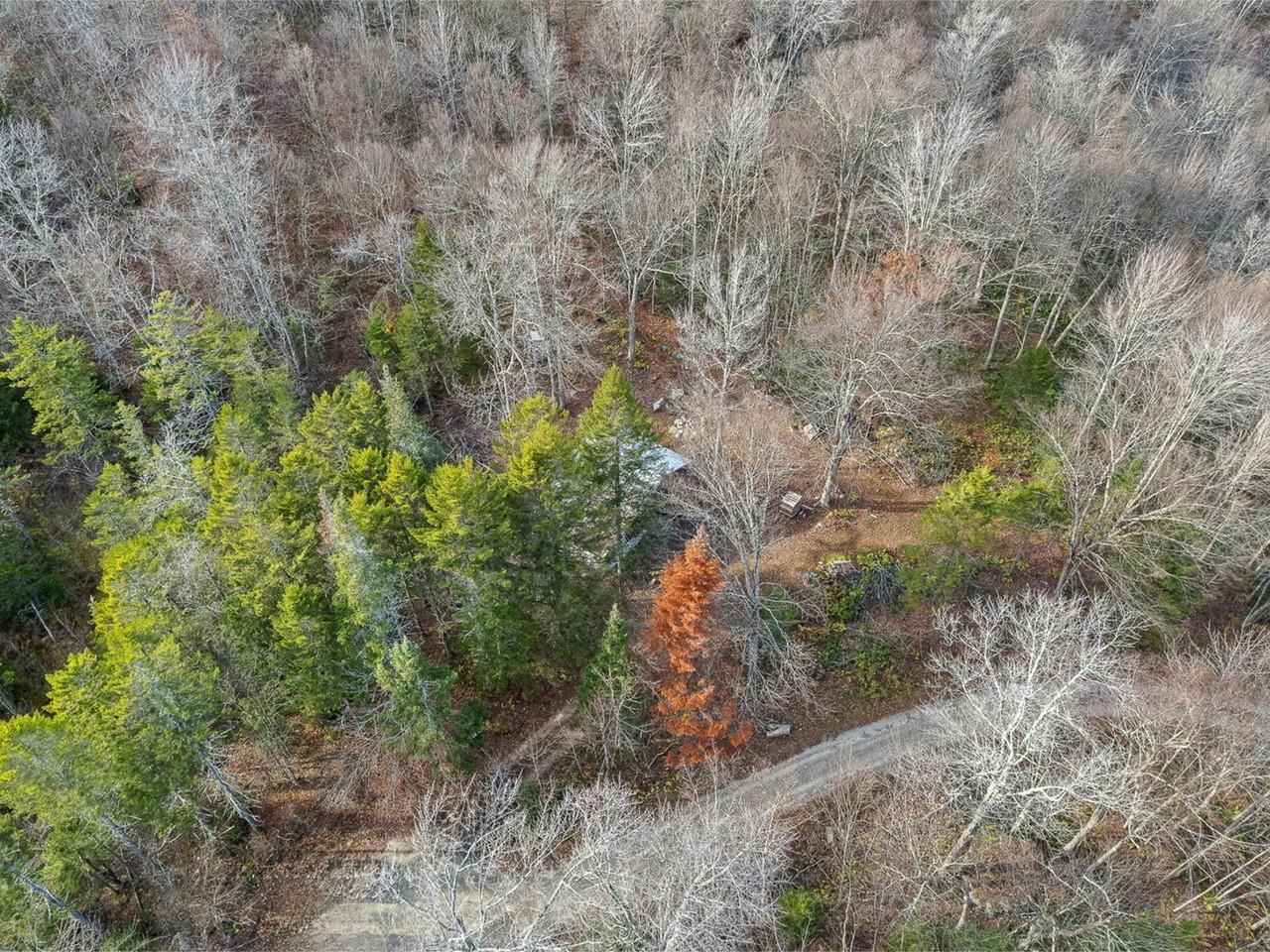 2350 Cobb Hill Road Lincoln, VT 05443 - Photo 22 of 42 Gallery Image 22