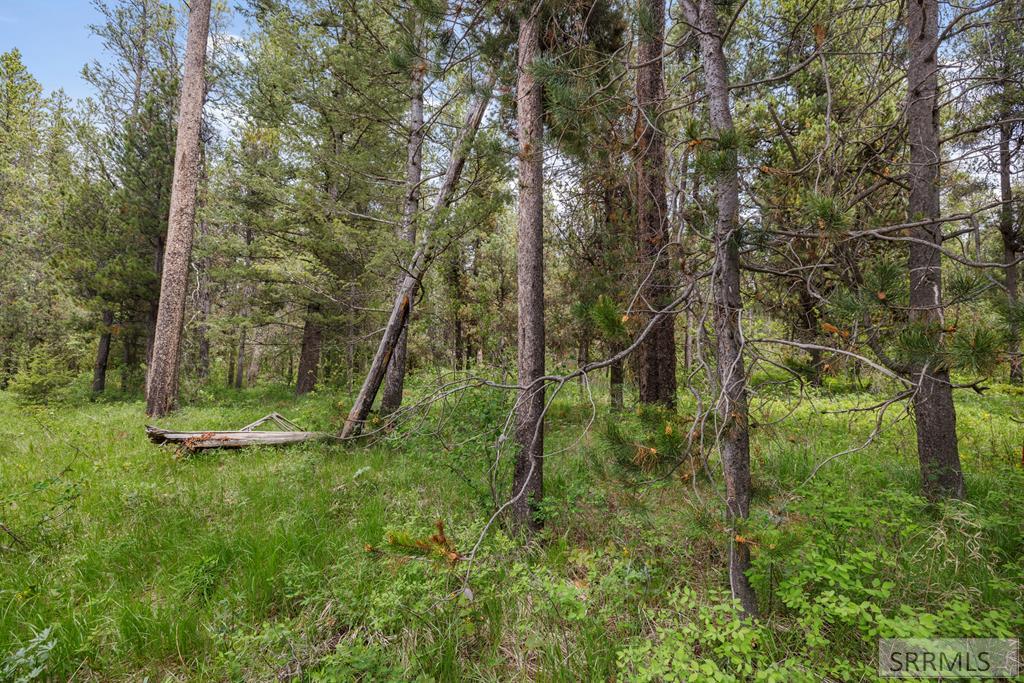 1537 Shadow Run Ashton, ID 83420 - Photo 6 of 22