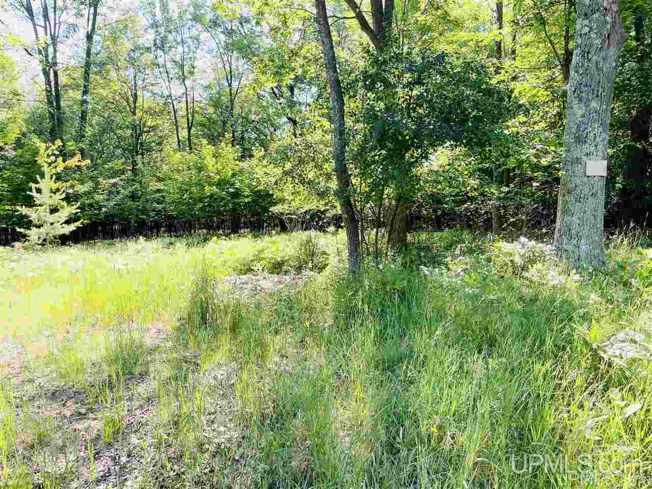 55 Tipperary Road, Unit 460 Gladstone, MI 49837 - Photo 3 of 8 Gallery Image 3