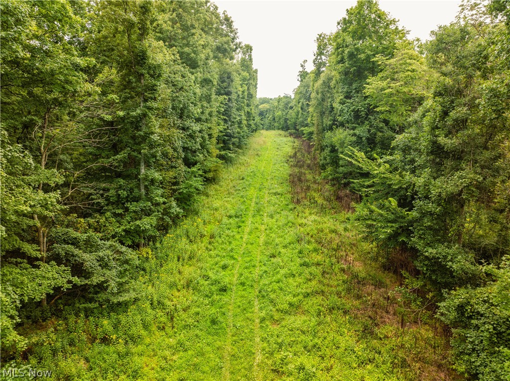2428 Applegate Road Lucas, OH 44843 - Photo 28 of 35 Gallery Image 28