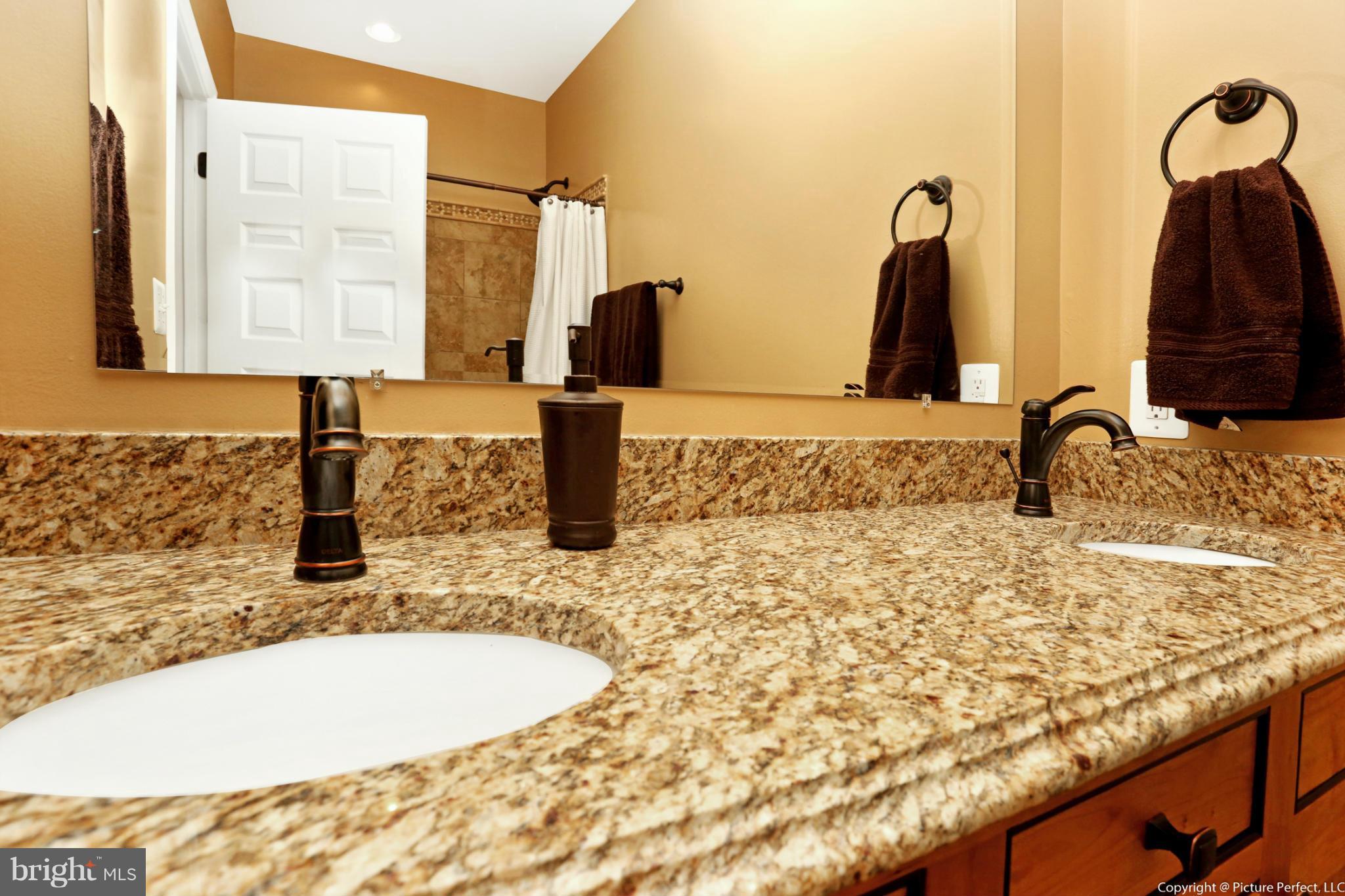1756 Brookshire Run Point of Rocks, MD 21777 - Photo 15 of 30 Granite with Double Sinks in Master Bath