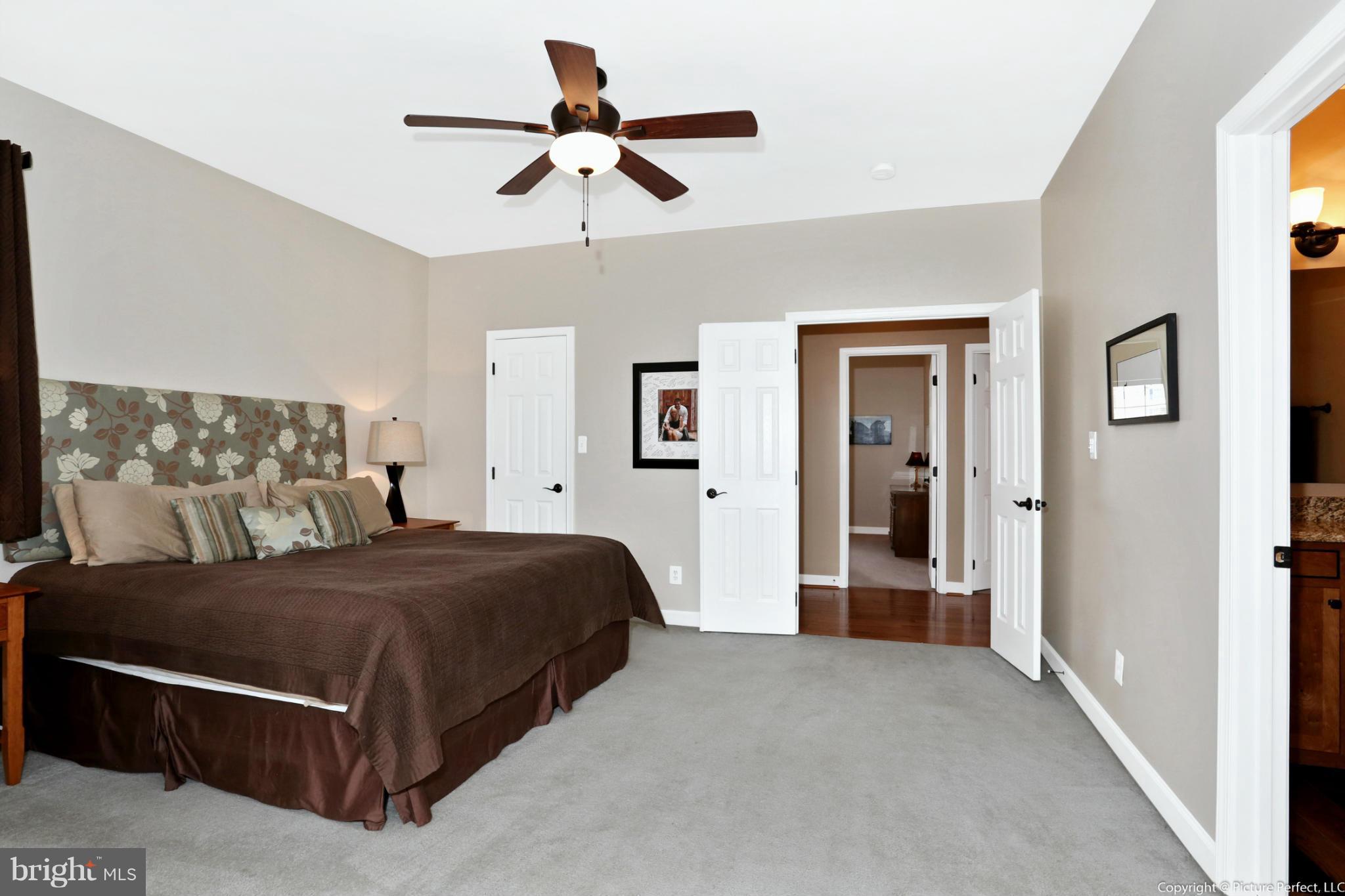 1756 Brookshire Run Point of Rocks, MD 21777 - Photo 16 of 30 Spacious Master w Ceiling Fan