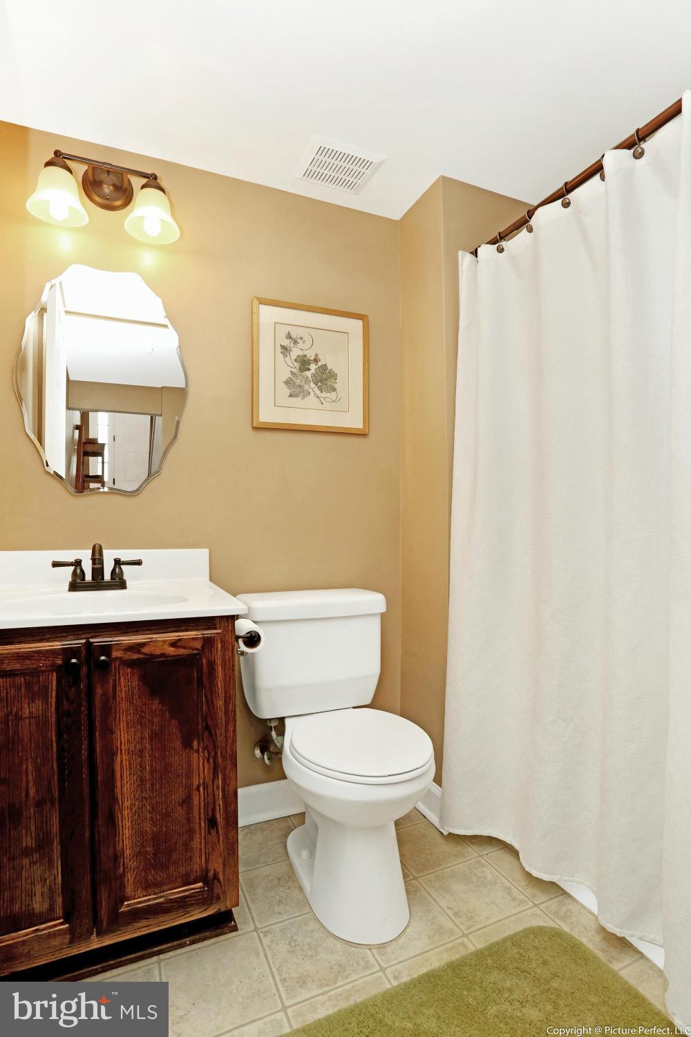 1756 Brookshire Run Point of Rocks, MD 21777 - Photo 21 of 30 Full Bath #3 (Lower Level)