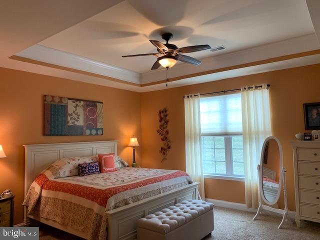 117 Davish Road Coatesville, PA 19320 - Photo 16 of 22 Master Suite with tray ceiling
