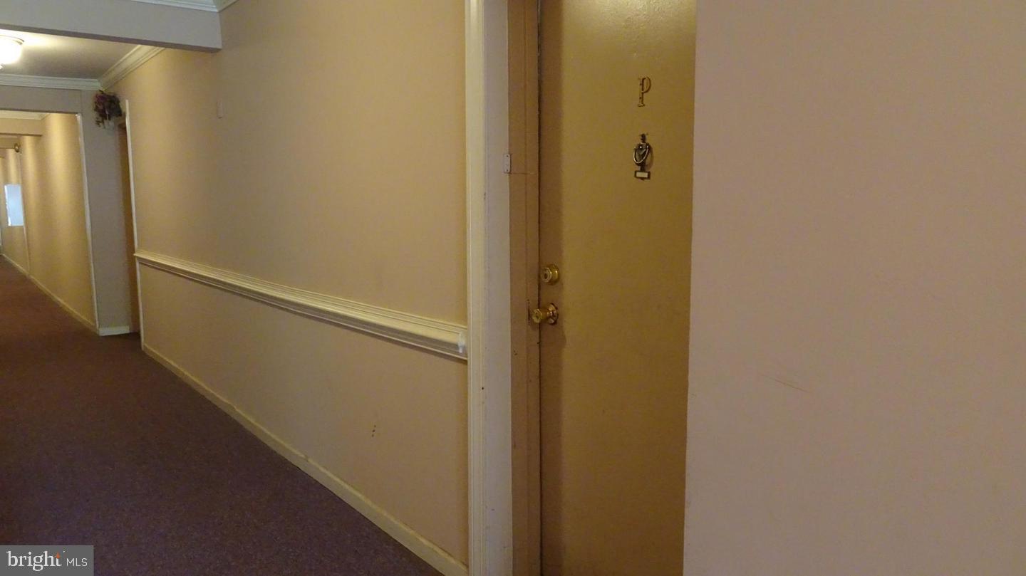 5805 P Royal Ridge Drive Springfield, VA 22152 - Photo 15 of 15