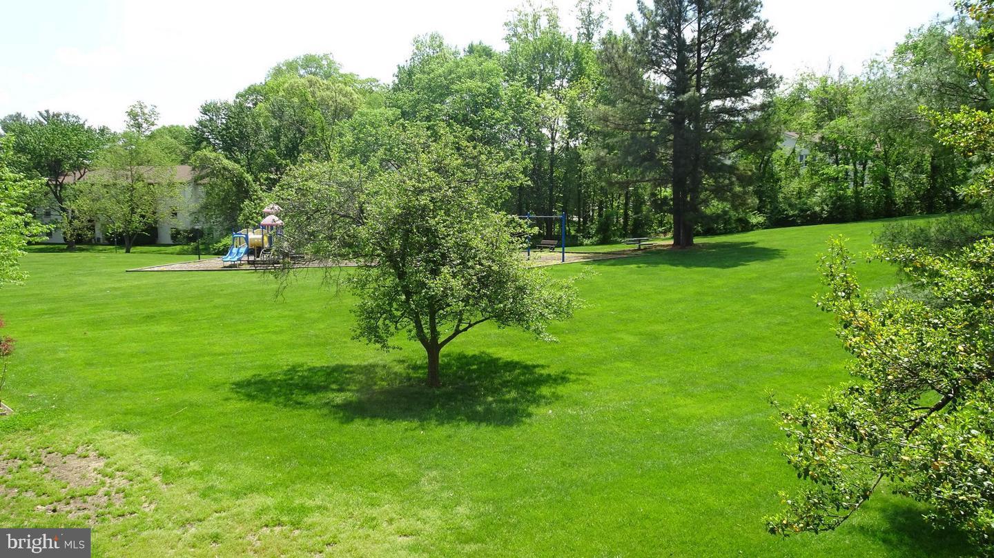 5805 P Royal Ridge Drive Springfield, VA 22152 - Photo 6 of 15