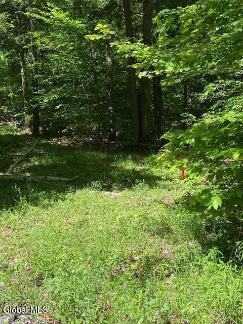 55 Fodder Road Stony Creek, NY 12878 - Photo 10 of 13 Marker for drive