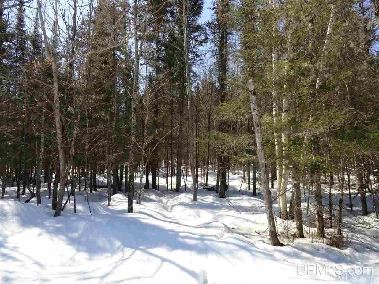 240-acres Leek Road Covington, MI 49919 - Photo 29 of 50