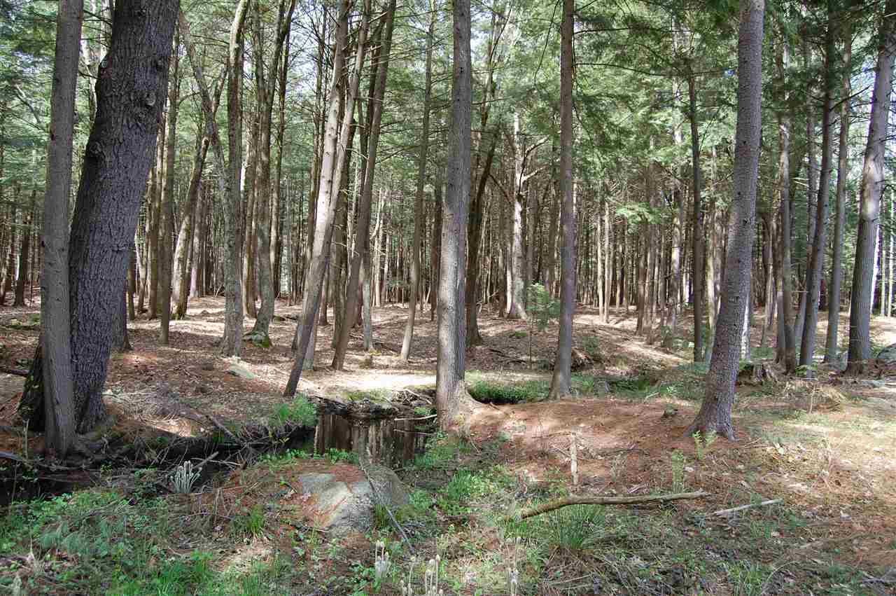 112 County Road, Unit 211516 Bedford, NH 03110 - Photo 4 of 6 Gallery Image 4