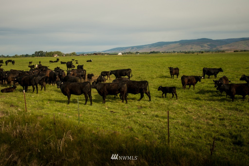 3441 Rader Road Ellensburg, WA 98926 - Photo 8 of 15 Gallery Image 8