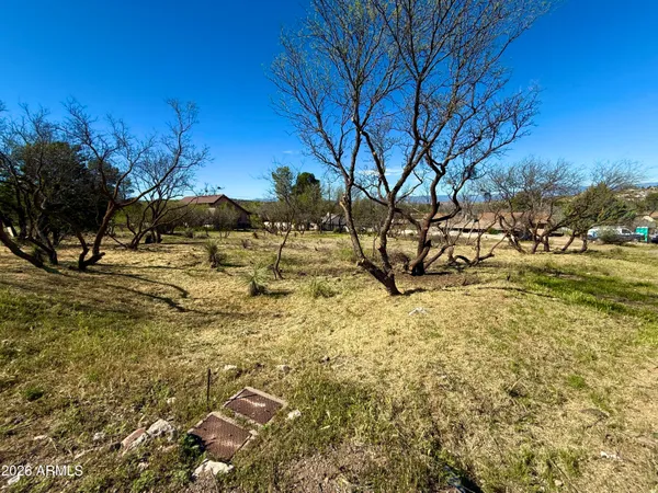 a view of yard with trees