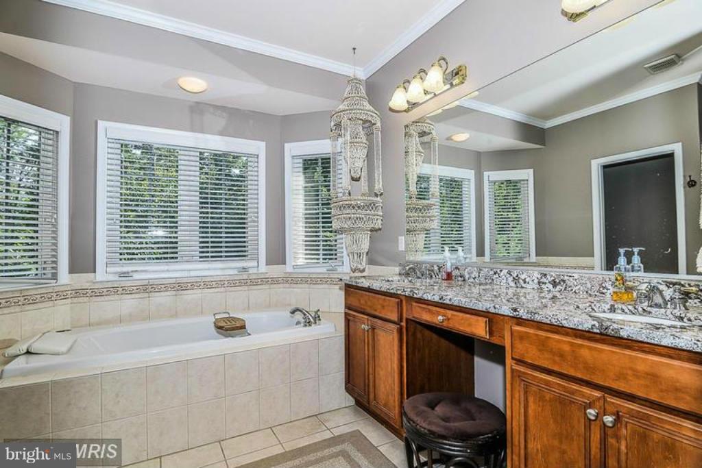 21590 Merion Street Ashburn, VA 20147 - Photo 19 of 30 Bath (Master)