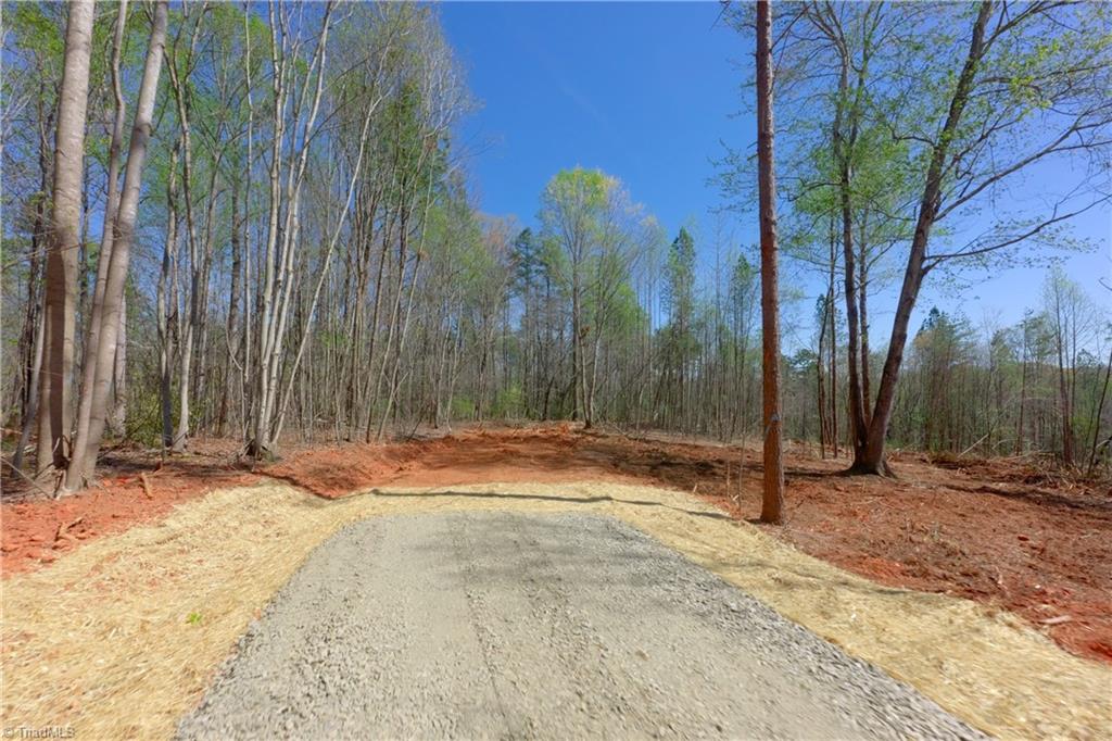 1 Alexander Farm Road Harmony, NC 28634 - Photo 3 of 28