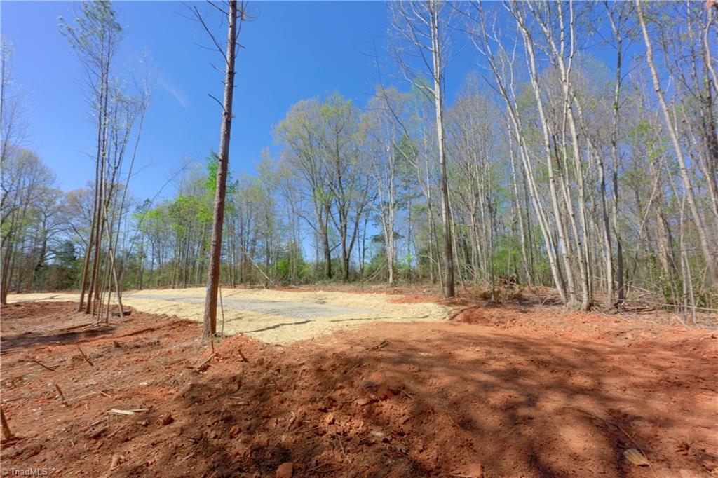 1 Alexander Farm Road Harmony, NC 28634 - Photo 4 of 28