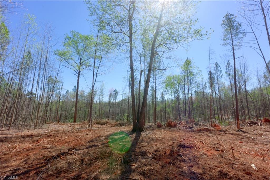 1 Alexander Farm Road Harmony, NC 28634 - Photo 6 of 28