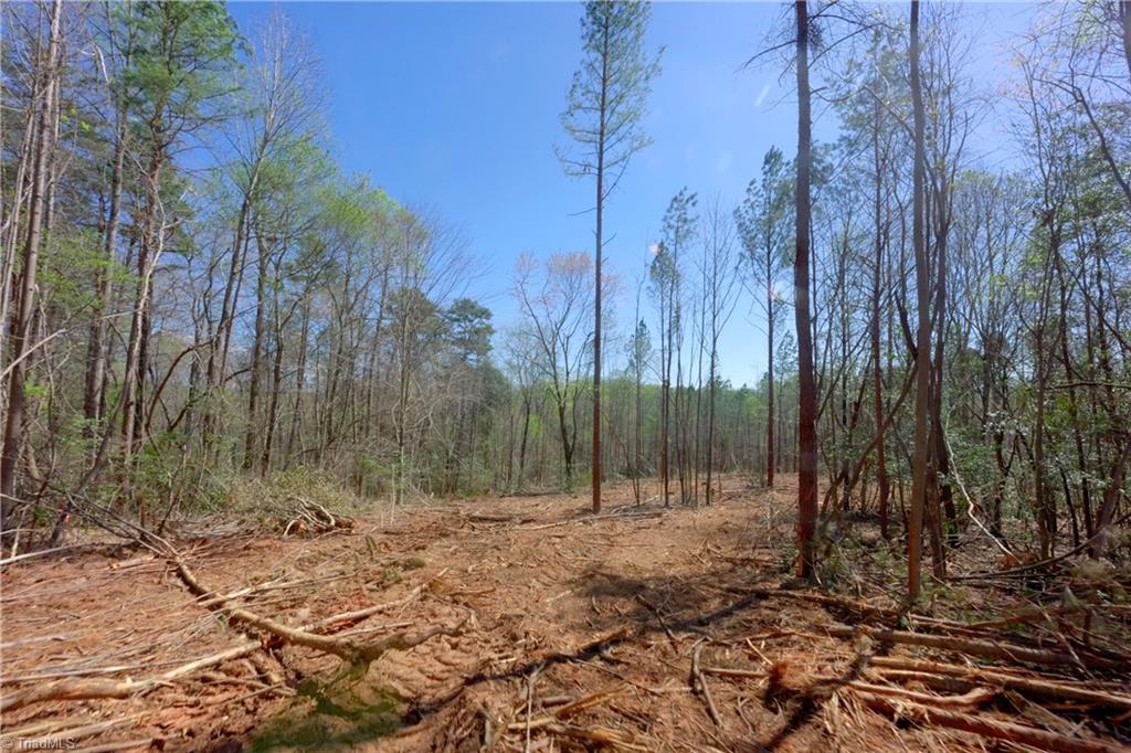 1 Alexander Farm Road Harmony, NC 28634 - Photo 7 of 28