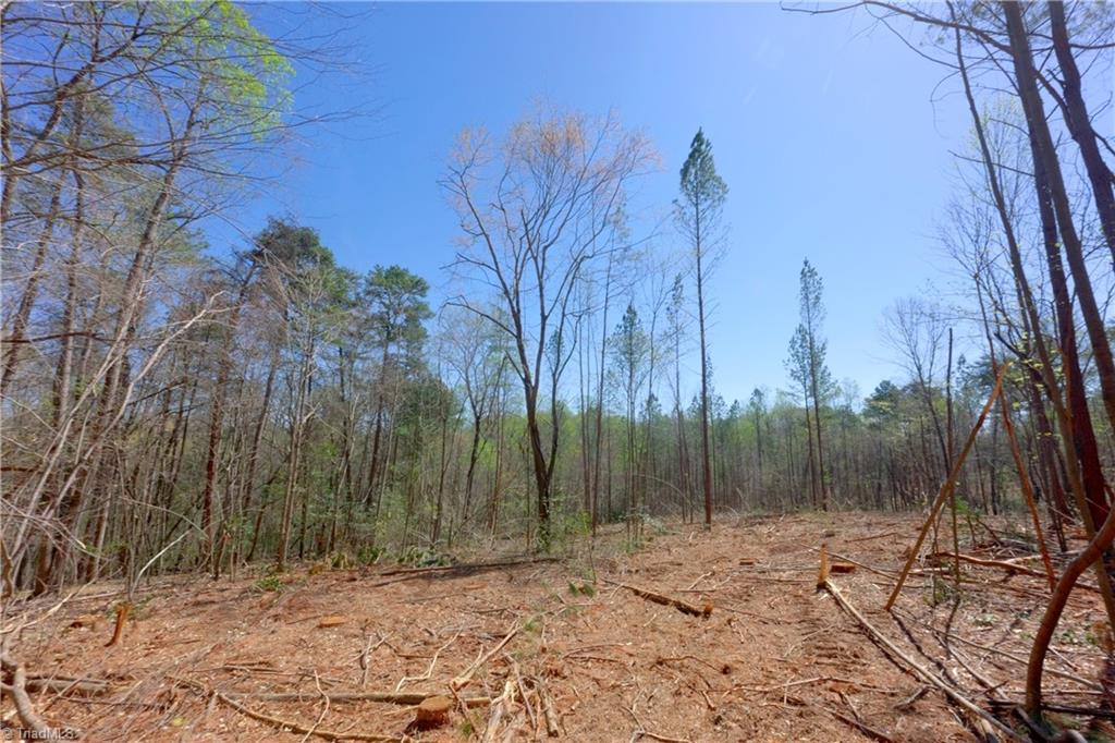 1 Alexander Farm Road Harmony, NC 28634 - Photo 8 of 28