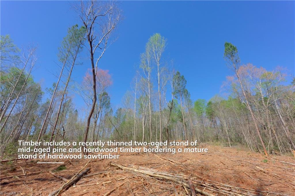 1 Alexander Farm Road Harmony, NC 28634 - Photo 9 of 28