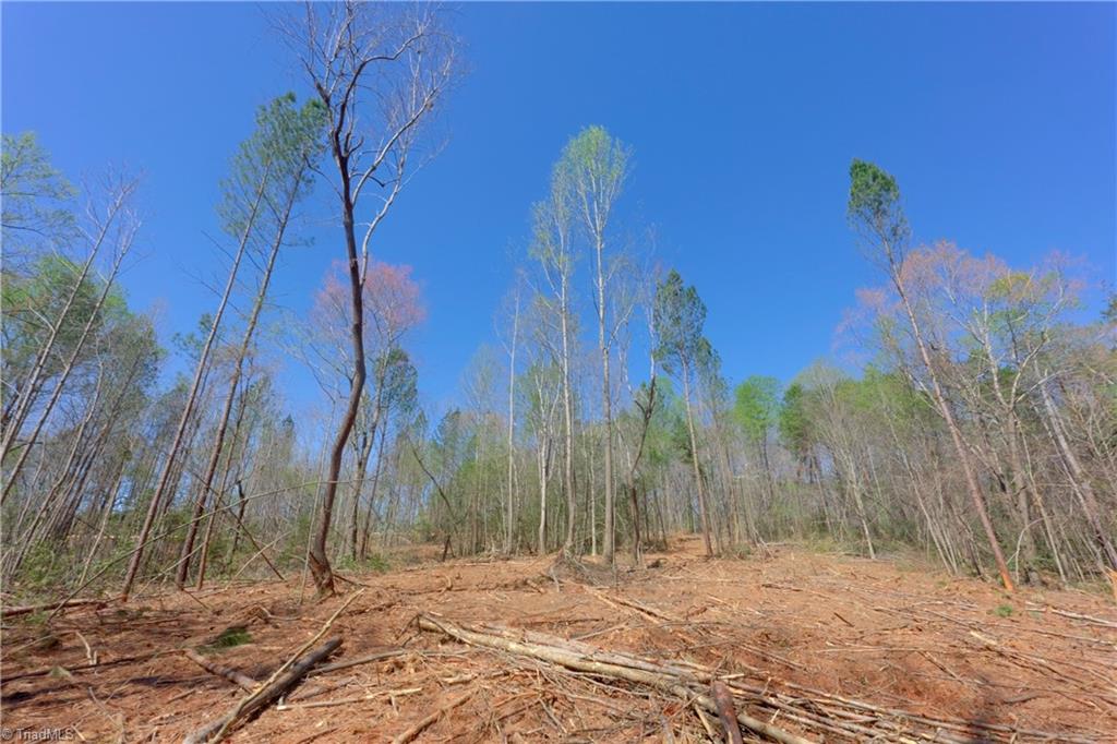 1 Alexander Farm Road Harmony, NC 28634 - Photo 10 of 28