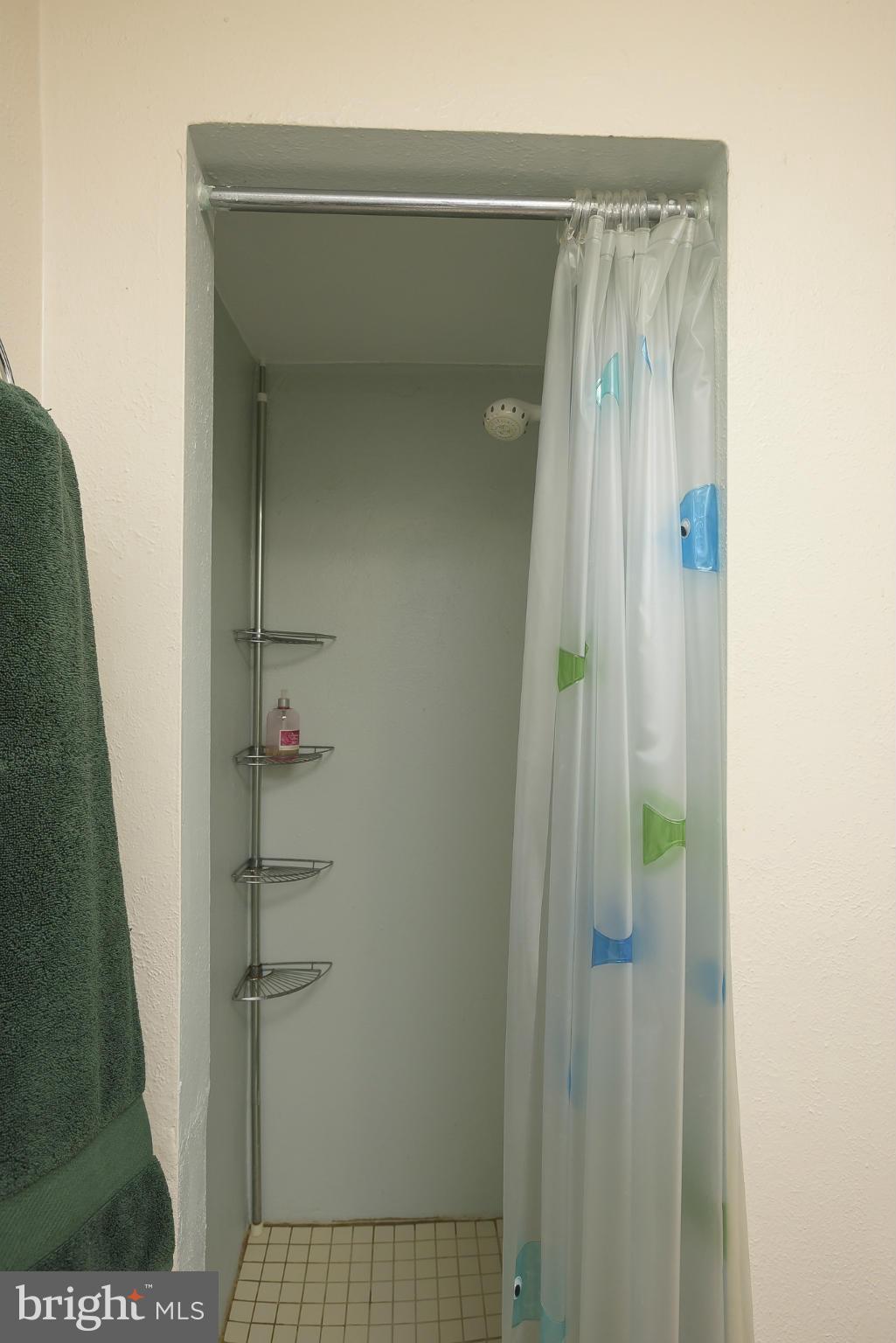 435 Overbrook Road Catonsville, MD 21228 - Photo 25 of 30 Bathroom 2 Shower