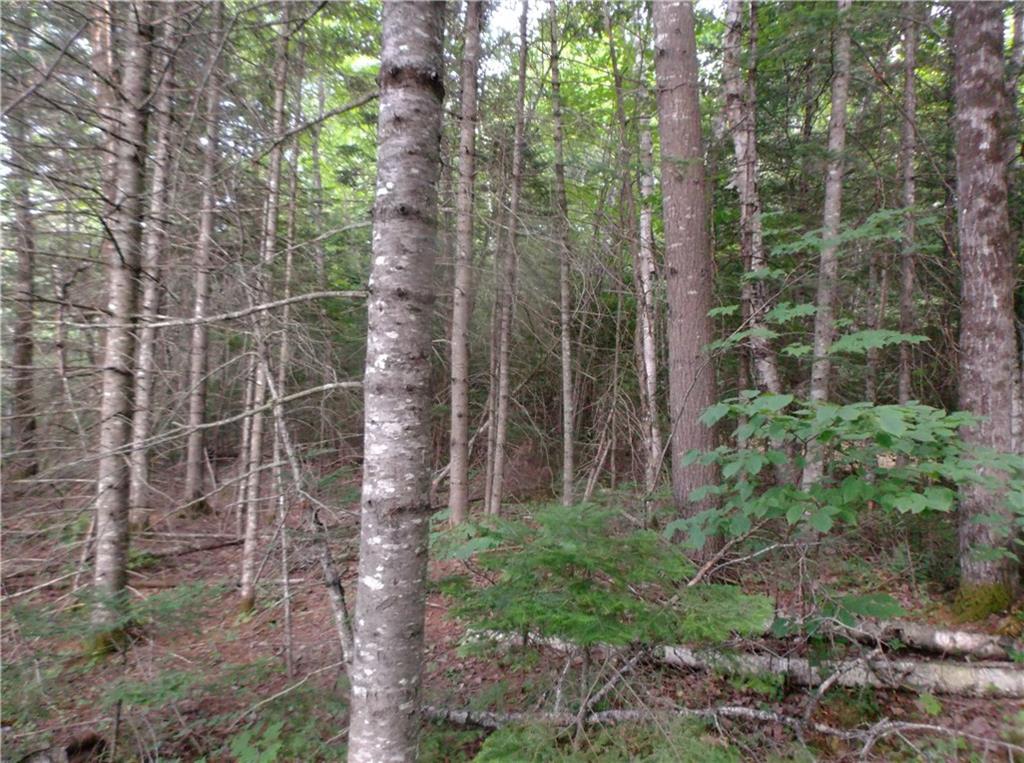 2 Brighton Road Wellington, ME 04942 - Photo 2 of 11 Photo