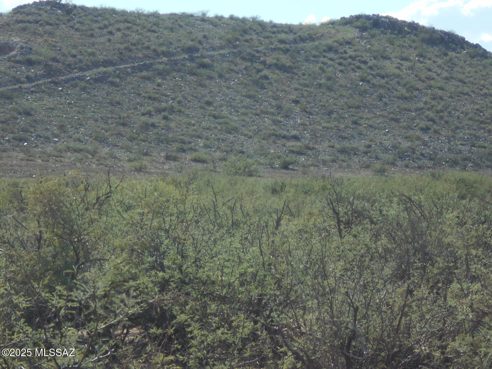 36.8-acres West Old Stewart Road, Unit 53 Willcox, AZ 85643 - Photo 17 of 42