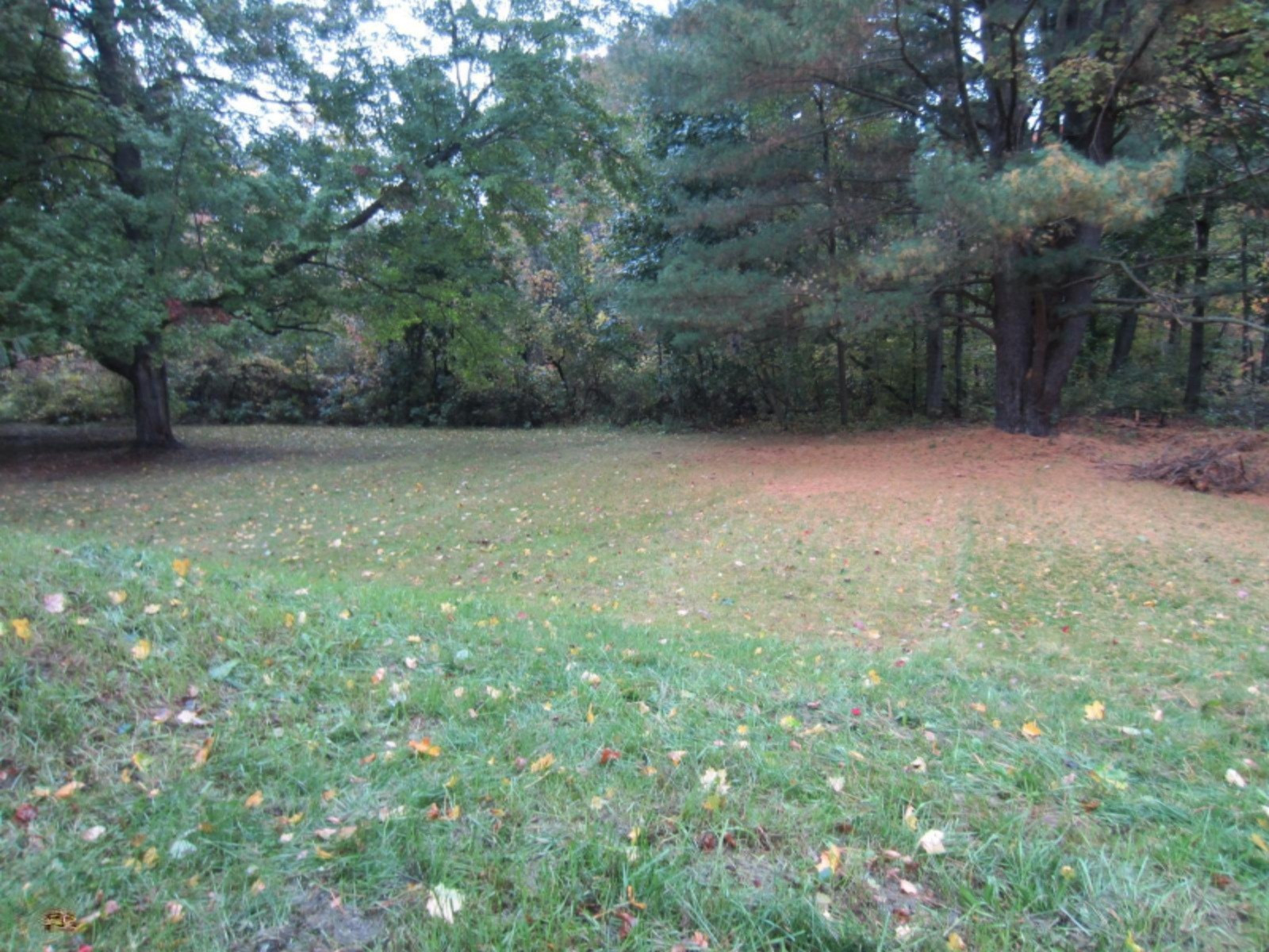 6732 South Centerline Road Newaygo, MI 49337 - Photo 2 of 24 centerline-backyard