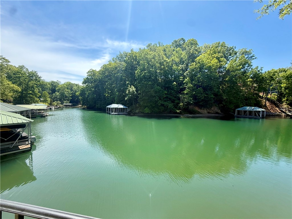 1200 Loran Pointe Circle Seneca, SC 29672 - Photo 18 of 29 This serene waterfront view showcases boat docks nestled among lush trees, offering direct lake access.