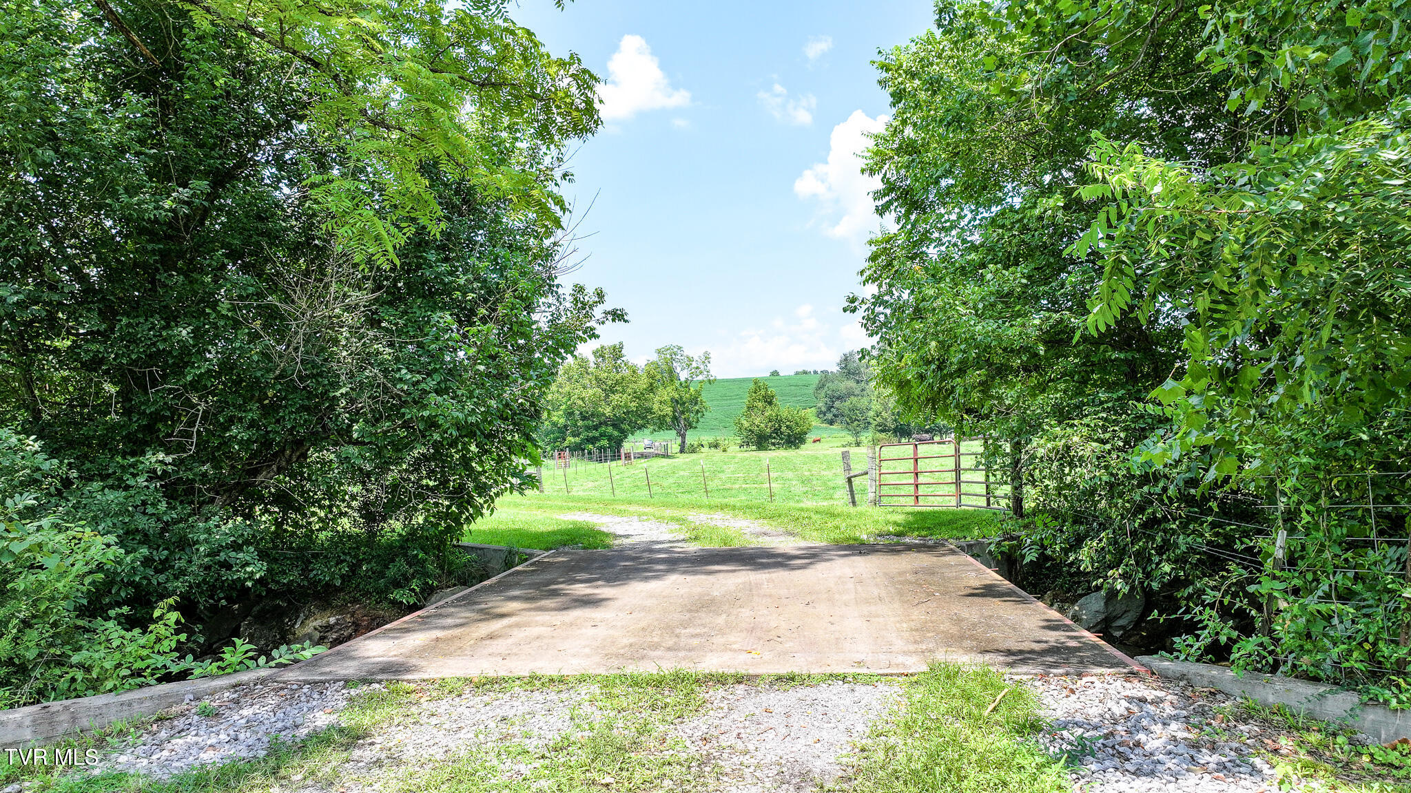 2130 Old Jonesboro Road Chuckey, TN 37641 - Photo 89 of 102 87